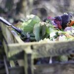 Kompostovanie šetrí smetný kôš